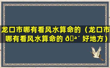 龙口市哪有看风水算命的（龙口市哪有看风水算命的 🪴 好地方）